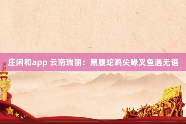 庄闲和app 云南瑞丽：黑腹蛇鹈尖喙叉鱼遇无语