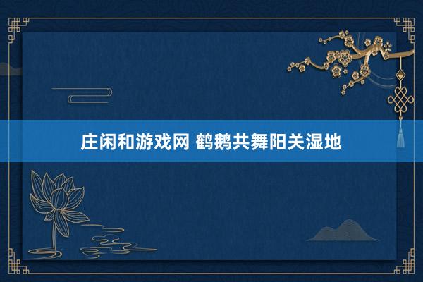 庄闲和游戏网 鹤鹅共舞阳关湿地