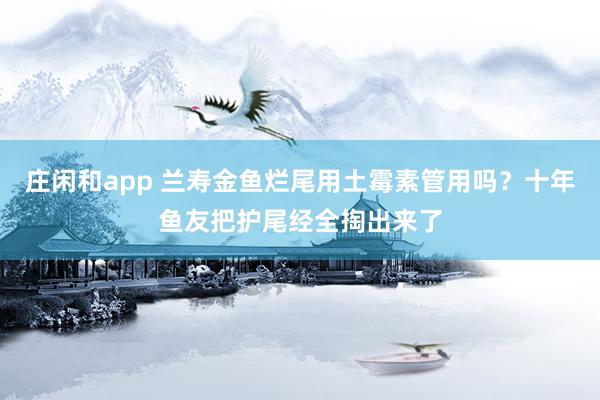 庄闲和app 兰寿金鱼烂尾用土霉素管用吗？十年鱼友把护尾经全掏出来了