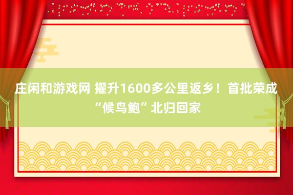 庄闲和游戏网 擢升1600多公里返乡！首批荣成“候鸟鲍”北归回家
