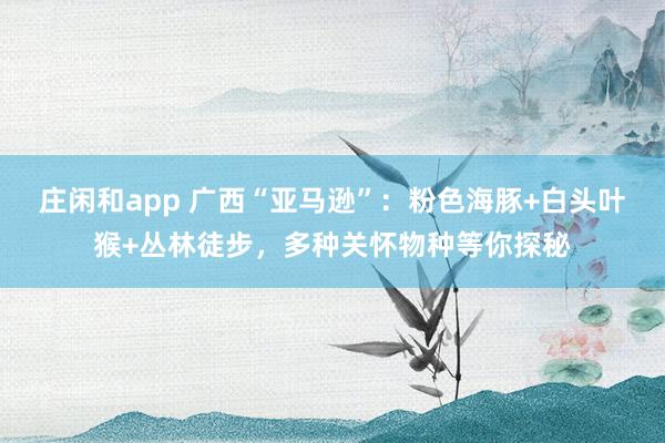 庄闲和app 广西“亚马逊”：粉色海豚+白头叶猴+丛林徒步，多种关怀物种等你探秘