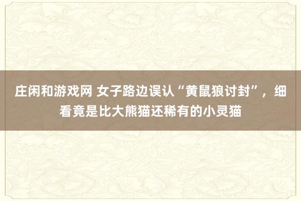 庄闲和游戏网 女子路边误认“黄鼠狼讨封”，细看竟是比大熊猫还稀有的小灵猫