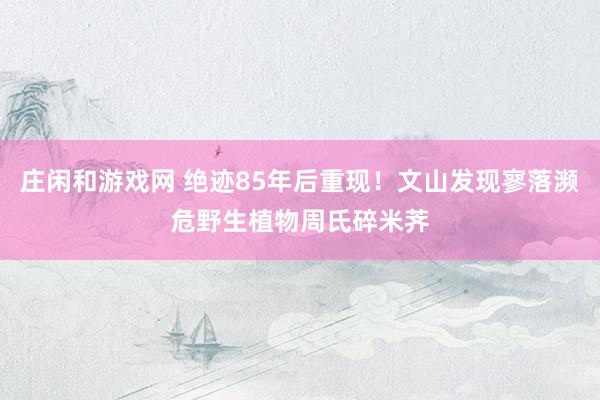 庄闲和游戏网 绝迹85年后重现！文山发现寥落濒危野生植物周氏碎米荠