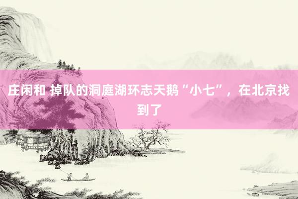 庄闲和 掉队的洞庭湖环志天鹅“小七”，在北京找到了