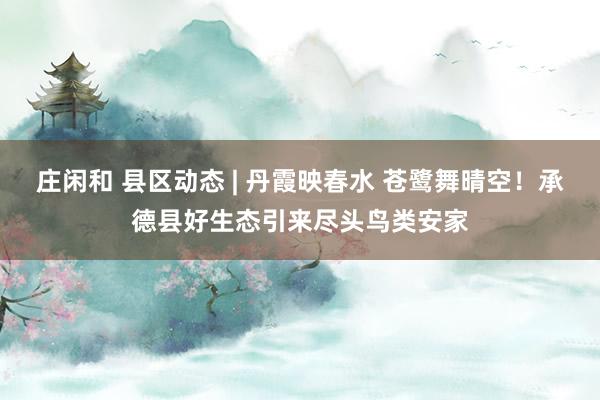 庄闲和 县区动态 | 丹霞映春水 苍鹭舞晴空！承德县好生态引来尽头鸟类安家