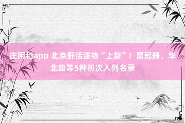 庄闲和app 北京野活泼物“上新”！黑冠鳽、华北蝮等5种初次入列名录
