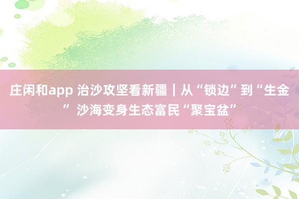 庄闲和app 治沙攻坚看新疆｜从“锁边”到“生金” 沙海变身生态富民“聚宝盆”