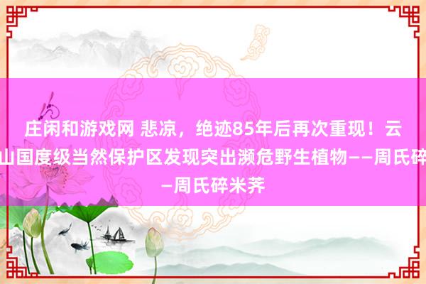 庄闲和游戏网 悲凉，绝迹85年后再次重现！云南文山国度级当然保护区发现突出濒危野生植物——周氏碎米荠