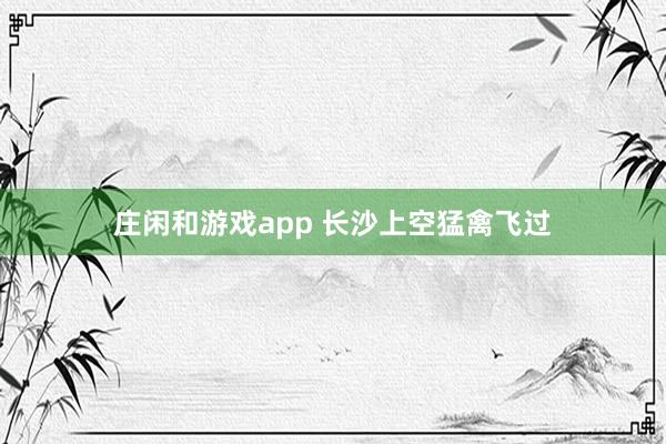 庄闲和游戏app 长沙上空猛禽飞过
