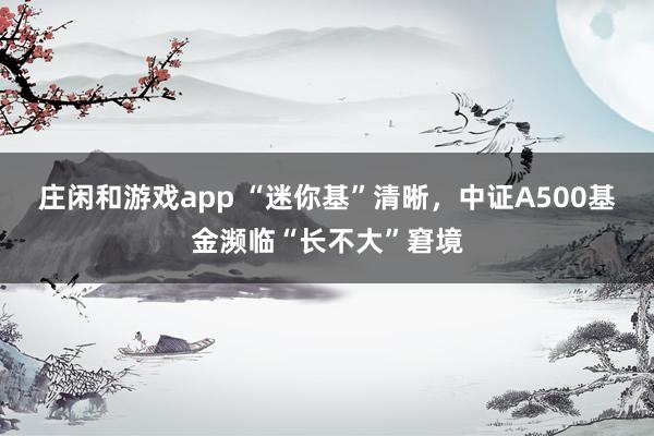 庄闲和游戏app “迷你基”清晰，中证A500基金濒临“长不大”窘境
